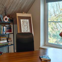 Фото Отель Дом в СНТ Ивушка 216