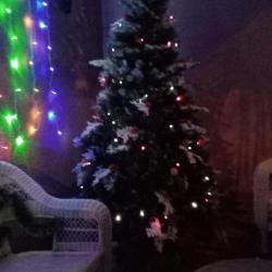 Фото Отель Абрикос