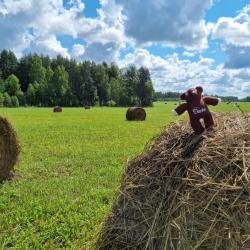 Фото Отель Дача на Рыбинском Море