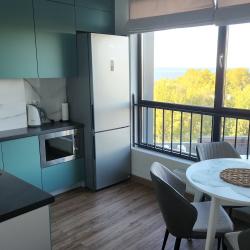 Фото Апартаменты в отеле Кристалл