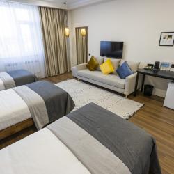 3-местный номер стандарт с 3 односпальными кроватями