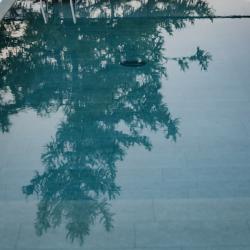 Фото Отель Алтан