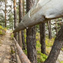 Фото Парк-отель ий