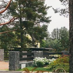 Фото Отель Вилла Вителе