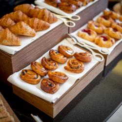 Ararat Park Hotel Moscow (Арарат Парк Хаятт Москва) — dc1837a3402ea929598d819fd560a5f7