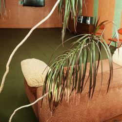 Фото Отель Гора Весёлая