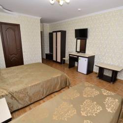 Фото Отель Гостевой дом Лев