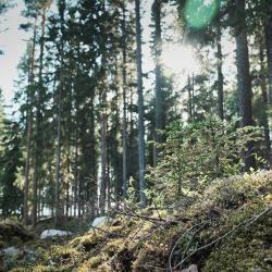 Коттедж премиум