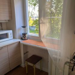 Фото Апартаменты на проспекте Ленина 98