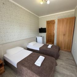 2-местный номер стандарт с 2 односпальными кроватями