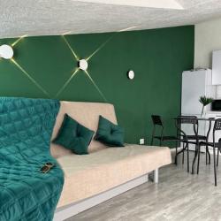 1-комнатные апартаменты студия