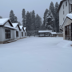 Фото Отель Далия