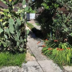 Фото Отель Bamboo Garden (Бамбу Гарден)
