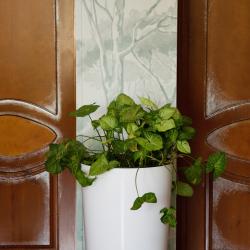 Фото Отель People Guest House (Пипл Гест Хаус)