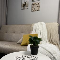 Фото Апартаменты на проспекте Ленина 19