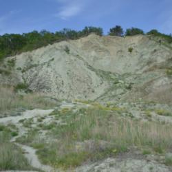 Фото Отель Аммонит