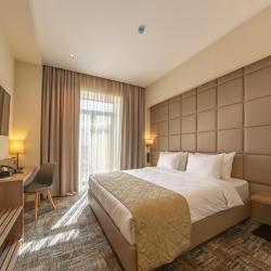 Фото Отель Hayasa Hotel Yerevan (Хаяса )