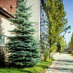 Фото Отель База отдыха Форелька