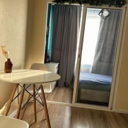 1-комнатные апартаменты студия улица Челюскинцев, 80В