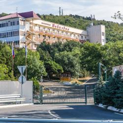 Фото Отель Пансионат Виктория