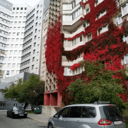 фото 22 Апартаменты на проспекте Московский 42