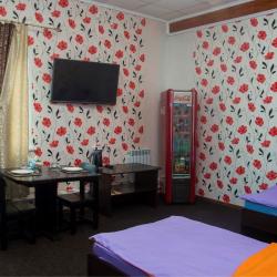 Фото Отель Арарат