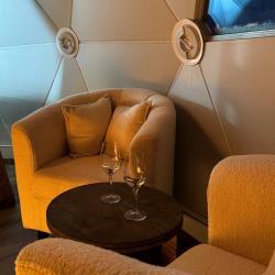 Купольный дом WOOD