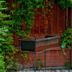 Фото Отель Plantage на Пионерской (Плантаж)