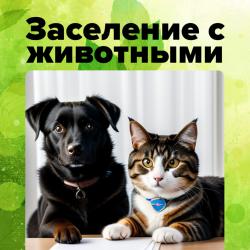 Фото Отель 4 Сезона (Четыре Сезона)