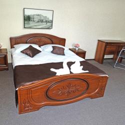 Номер люкс (с завтраком)