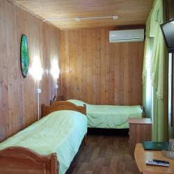 Номер стандарт с 2 односпальными кроватями (с пансионом)