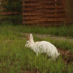 Фото Отель Варилка