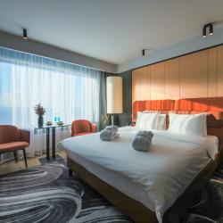 фото 7 Valo Mercure Hotel and Residences Saint Petersburg (Вало Меркюр)