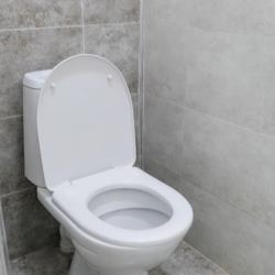 Фото Apple hostel (Эппл хостел)