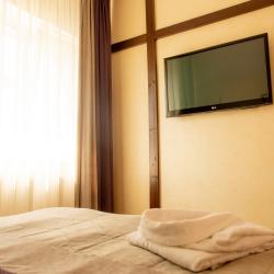 Номер стандарт с 1 двуспальной кроватью (Корпус 1 - А,В)