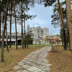 Фото Отель Сосновый бор