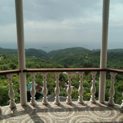 Фото Отель Дома в лесу