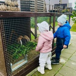 Фото Отель Pav.love Village (ПавЛов)