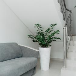 2-комнатные апартаменты люкс 1