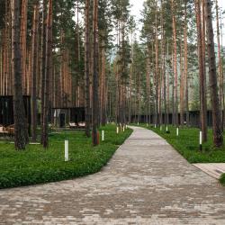 Фото Отель Pinewood resort&spa (Пайнвуд)