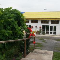 Фото Отель Курский соловей