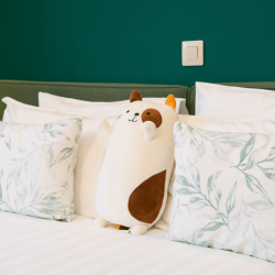 Фото Отель Тайга