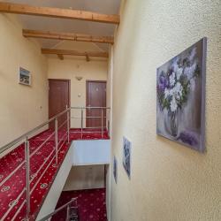 Фото Отель Фламинго