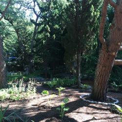 Фото Отель Алые паруса