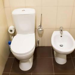 Фото Отель Forest Inn (Форест Инн)