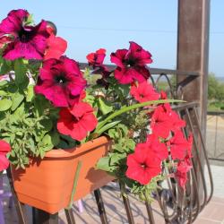 Фото Отель ТГК Колесо