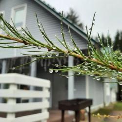 Фото Отель Иванова дача