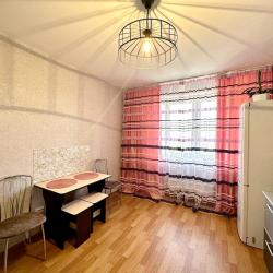 Фото Апартаменты на улице Калинина 18