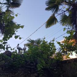 Фото Отель ЮгАделия