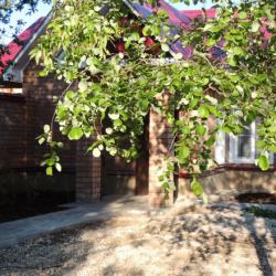 Фото Отель DragonFly (ДрагонФлай)